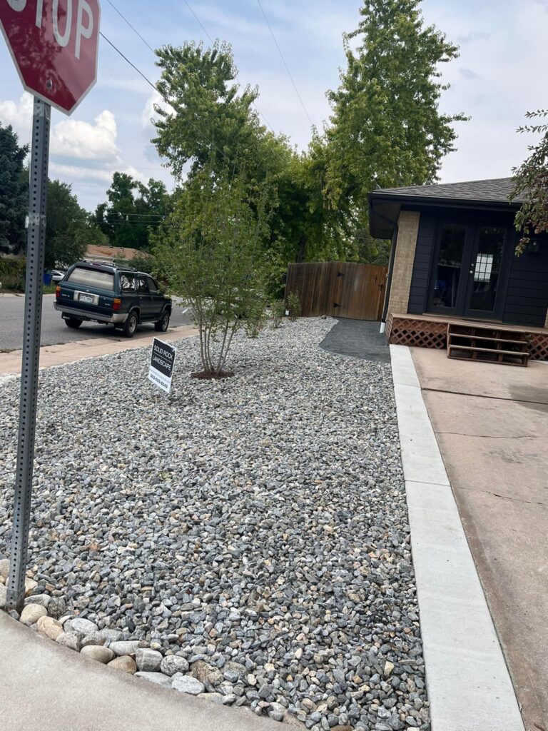 Cedar street photo 1