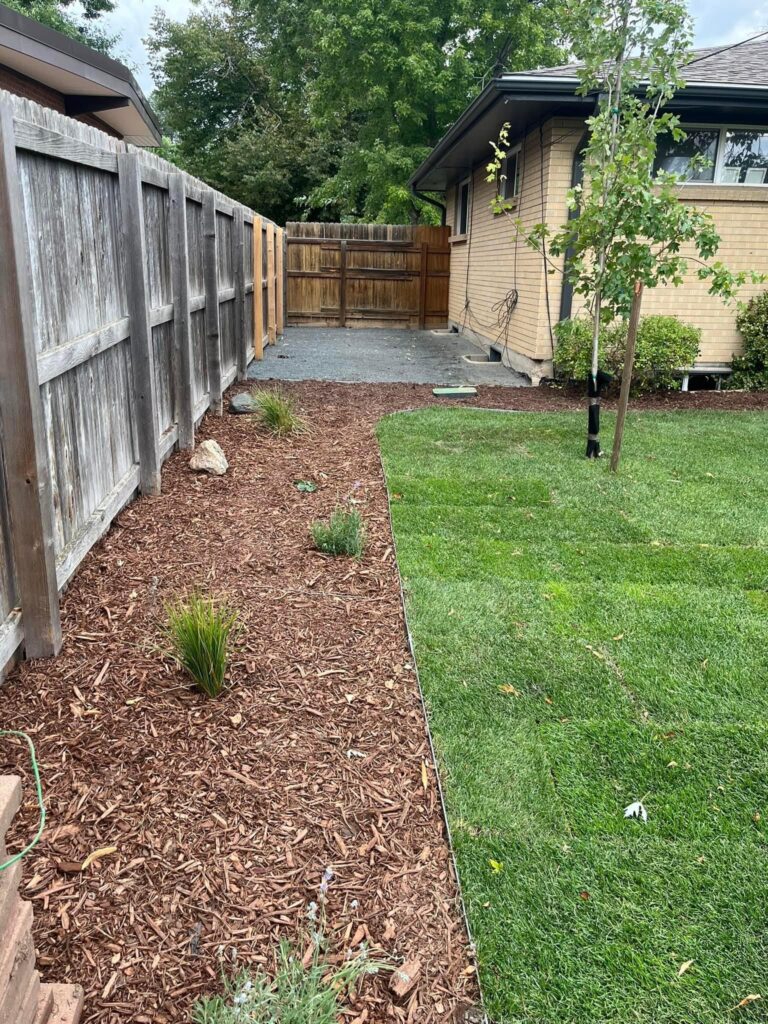 Cedar street photo 2