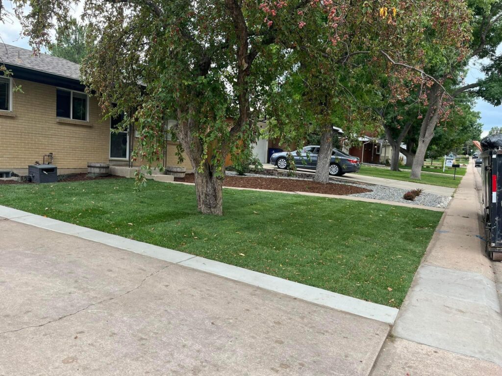 Cedar street photo 4