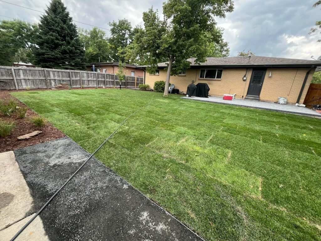 Cedar street photo 5