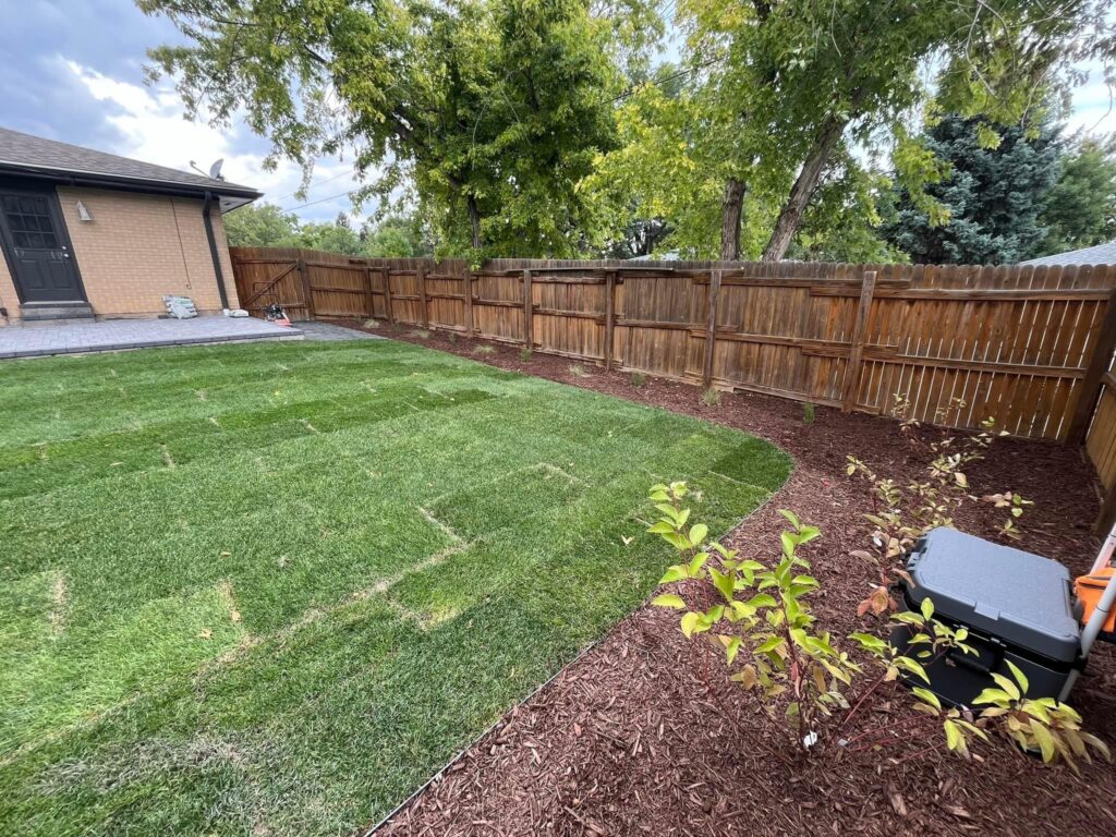 Cedar street photo 7