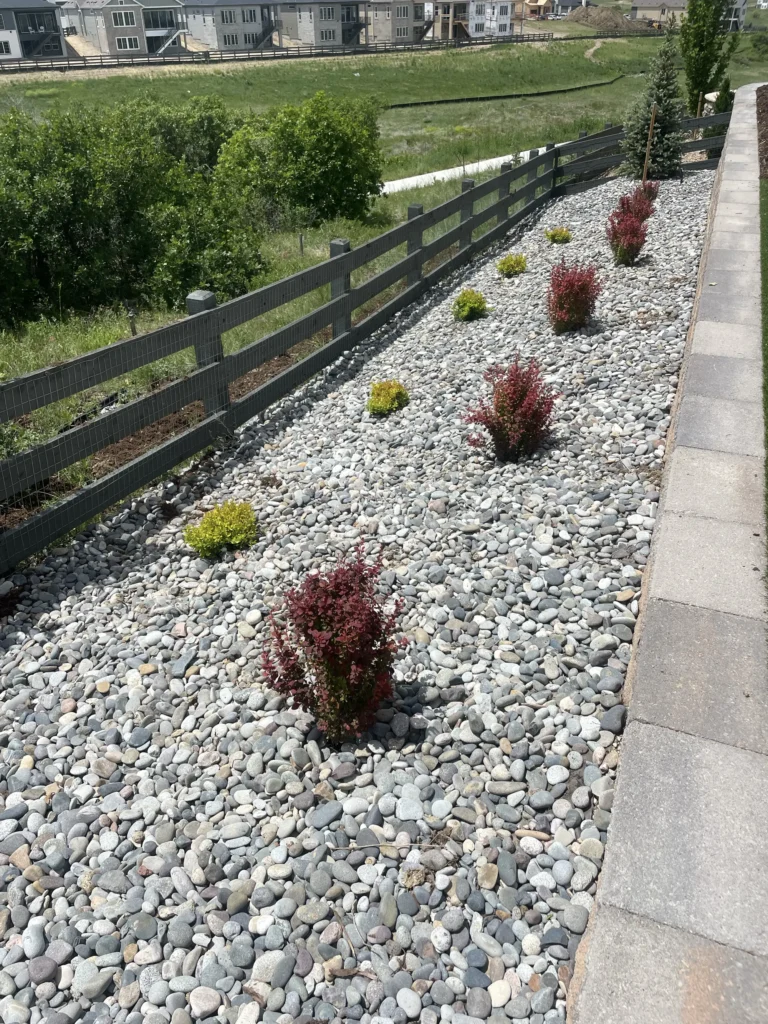 Castle pines photo 1