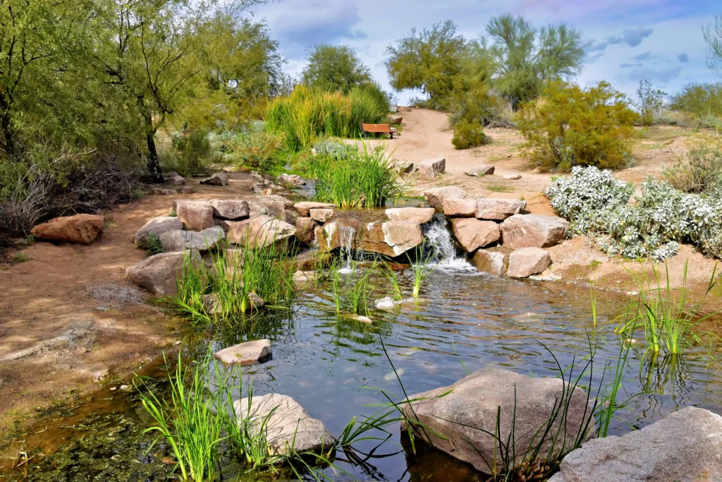 Landscape photo griffith gardens
